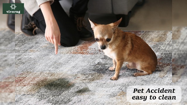 RUSH 3 air グレー ストレッチファブリック Amazon.com: vivorug Washable Rug, Ultra Soft Area Rug 3x5